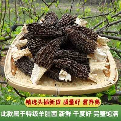 羊肚菌整箱批发一包一公斤优选头茬羊肚菌干货非野生羊肚子菌特产图4
