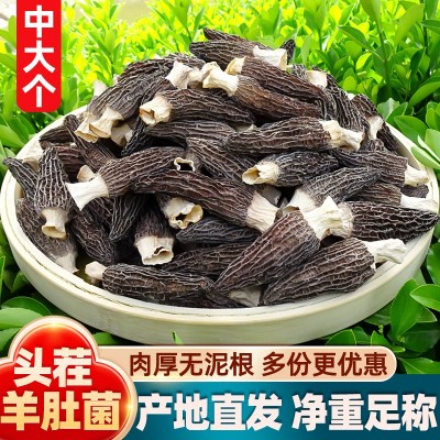 羊肚菌整箱批发一包一公斤优选头茬羊肚菌干货非野生羊肚子菌特产图2