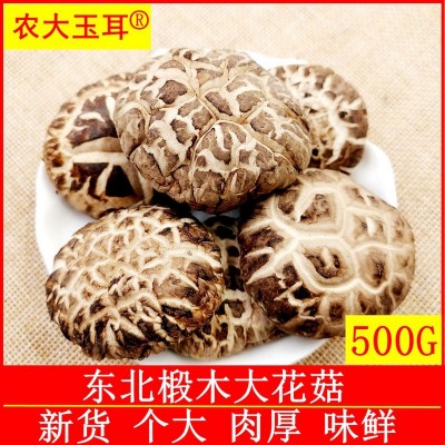 东北特产长白山大花菇纯椴木香菇剪腿金钱菇冬菇肉厚干货新货500g图3
