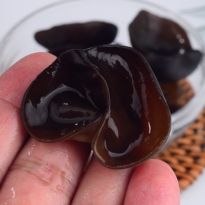 房县神农架椴木黑木耳干货无沙500g肉厚无根新货秋木耳凉拌小碗耳图4