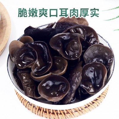 房县神农架椴木黑木耳干货无沙500g肉厚无根新货秋木耳凉拌小碗耳图2