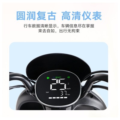 雅迪M10-D-豪华版电动自行车电动车长续航两轮电动摩托车电瓶车图2