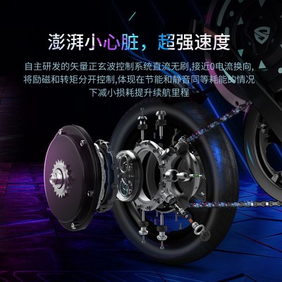 正步新款电动自行车智能APP折叠电动车 小型车代驾助力代步电瓶车图2