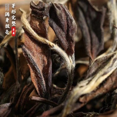 散装福鼎老白茶高山日晒寿眉贡眉茶叶白茶批发源头工厂图2