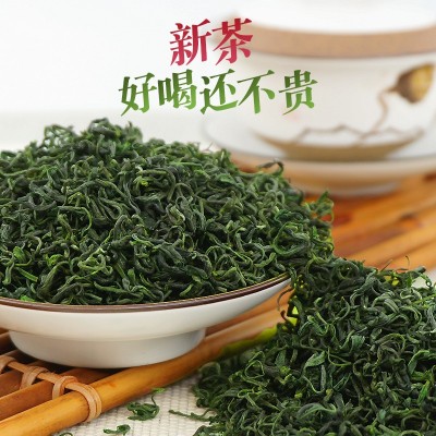 2024新茶 高山云雾绿茶龙井43号香茶 散装茶叶批发浓香日照500g图2