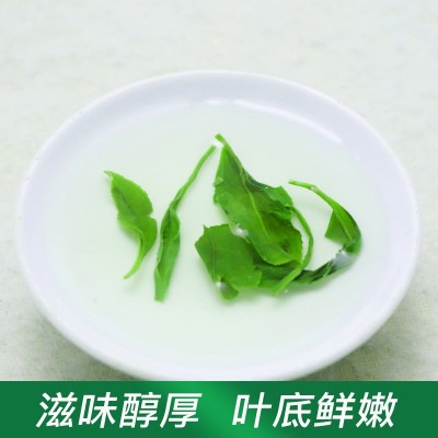 2024新茶春茶谷雨香茶早春炒青绿茶高山茶非松阳日照香茶叶批发图4