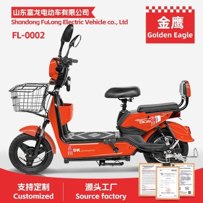 FL-0002-金鹰新款电动车厂家批发两轮电瓶车电动自行车工厂E-bike图2
