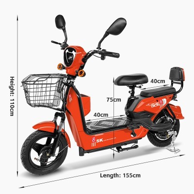 FL-0002-金鹰新款电动车厂家批发两轮电瓶车电动自行车工厂E-bike图4