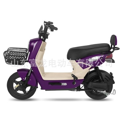 FL-0012理想电动车厂家两轮电瓶车成人源头工厂电动自行车批发图2