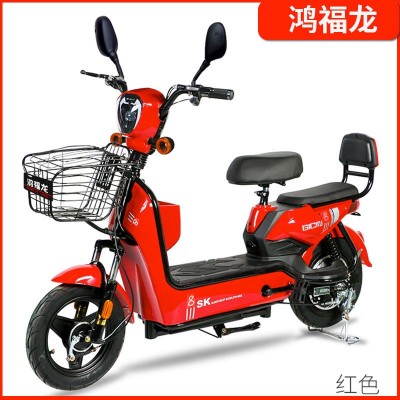 鸿福龙电动自行车48v金鹰成人电动车双人电瓶车跨境外贸厂 家批发图3