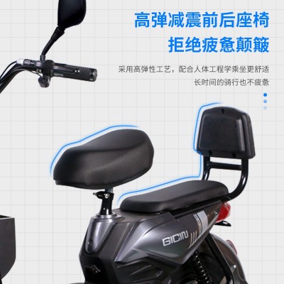 鸿福龙电动自行车48v金鹰成人电动车双人电瓶车跨境外贸厂 家批发图4