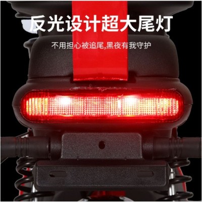专供外贸厂家跨境双人代步电动车超长续航电瓶车成人城市通勤电车图4