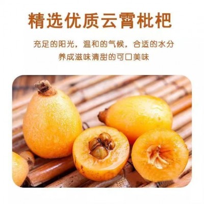 竹盐甘草枇杷干福建云霄特产原味无核无添加果脯休闲零食图4