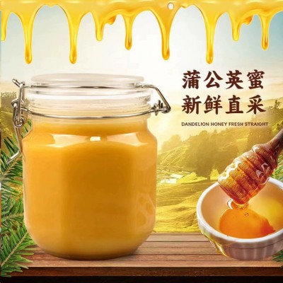 一件代发蒲公英蜂蜜500g结晶蜂蜜源头厂家蒲公英结晶蜜卡扣瓶原蜜图4