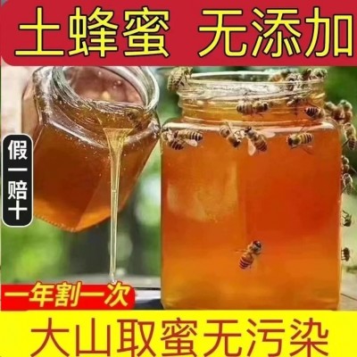 土蜂蜜批发代加工百花蜜云南结婚伴手礼蜂巢蜜小瓶500g便携装蜂蜜图2