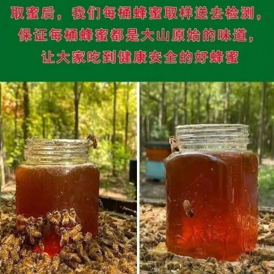 土蜂蜜批发代加工百花蜜云南结婚伴手礼蜂巢蜜小瓶500g便携装蜂蜜图3
