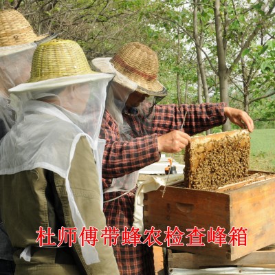 健凤园土蜂蜜批发500g农家蜂场直供百多花野蜂蜜荆条洋槐原蜜1斤图3