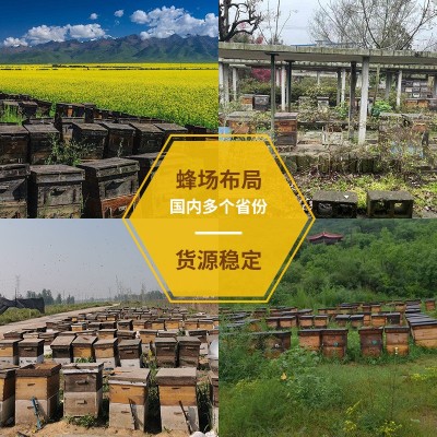 桶装蜂蜜厂家批发2.5KG多口味百花蜜 洋槐花土蜂蜜蜂蜜散装土蜂蜜图2
