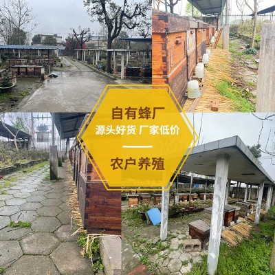 桶装蜂蜜厂家批发2.5KG多口味百花蜜 洋槐花土蜂蜜蜂蜜散装土蜂蜜图3