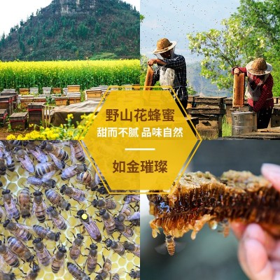 桶装蜂蜜厂家批发2.5KG多口味百花蜜 洋槐花土蜂蜜蜂蜜散装土蜂蜜图4