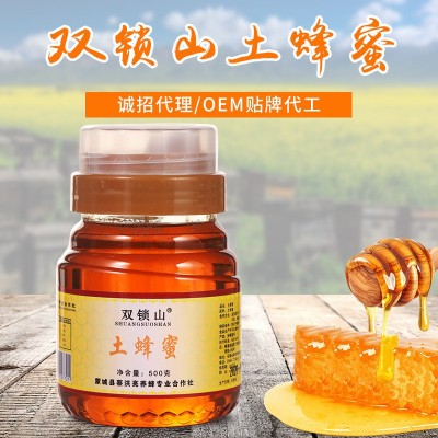 土蜂蜜双锁山瓶装500g蜂蜜农家自产蜂蜜冲调饮品液态蜂蜜批发图3