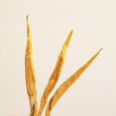 大金针云南滇红特级浓香型凤庆古树红茶组合蜜香泡茶金芽 茶叶批发图1