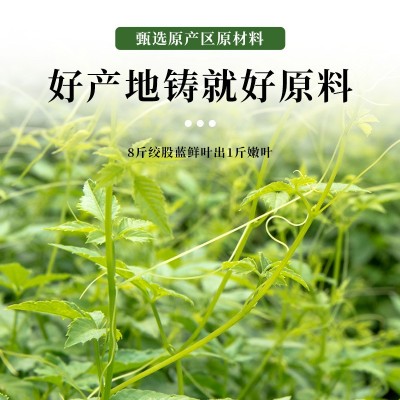 罐装150g绞股蓝茶代用茶批发七叶绞股蓝嫩芽养生花草茶绞股蓝茶图1