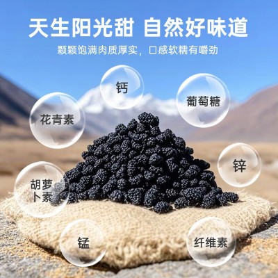 新货新疆桑葚干野生黑桑椹果干新鲜免洗大桑葚子批发泡水酒图3