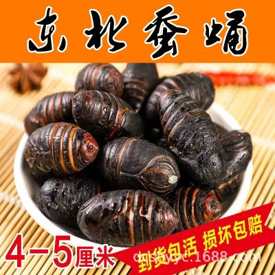 柞蚕蛹茧蛹批发新鲜东北蝉蛹长年大量供应鲜蚕蛹4-5厘米图2