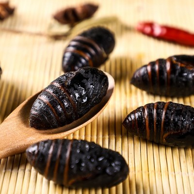 柞蚕蛹茧蛹批发新鲜东北蝉蛹长年大量供应鲜蚕蛹4-5厘米图4