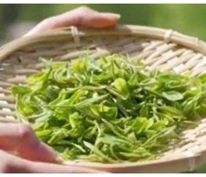茶叶最好的是什么茶
