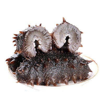 海之轩工厂大连即食海参批发辽刺参开袋即食鲜食即食海参500g图5