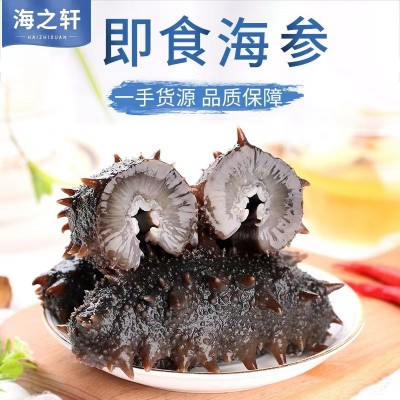 海之轩工厂大连海参辽刺参即食海参批发鲜食海参礼盒装500g