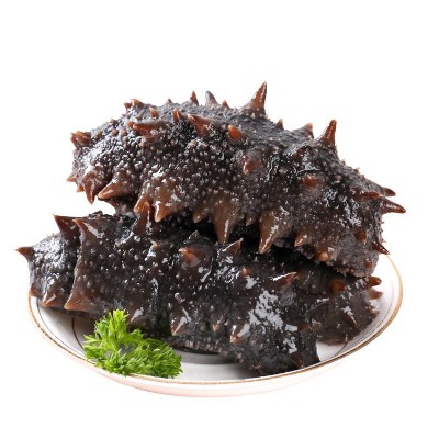 海之轩工厂大连海参辽刺参即食海参批发鲜食海参礼盒装500g图5