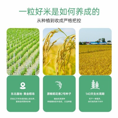 丰爽绿袋东北五常大米10斤稻花香2号 龙凤核心双层真空装大米5kg图2