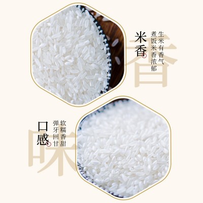 丰爽一年一季东北长粒香米 10斤双层真空 当季新米现磨现发 10斤图4
