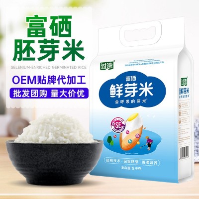富硒大米鲜胚芽米5kg保留大米胚芽米当季新米粳米谷物米10斤装