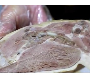 地方特产难买？别担心！家门口就能尝到正宗南京盐水鸭！